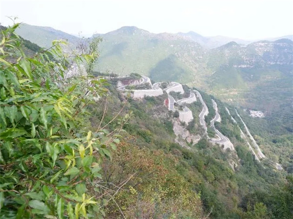 640.webp (15)_副本.jpg